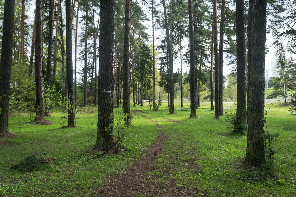 Фирсановка — усадьба Середниково