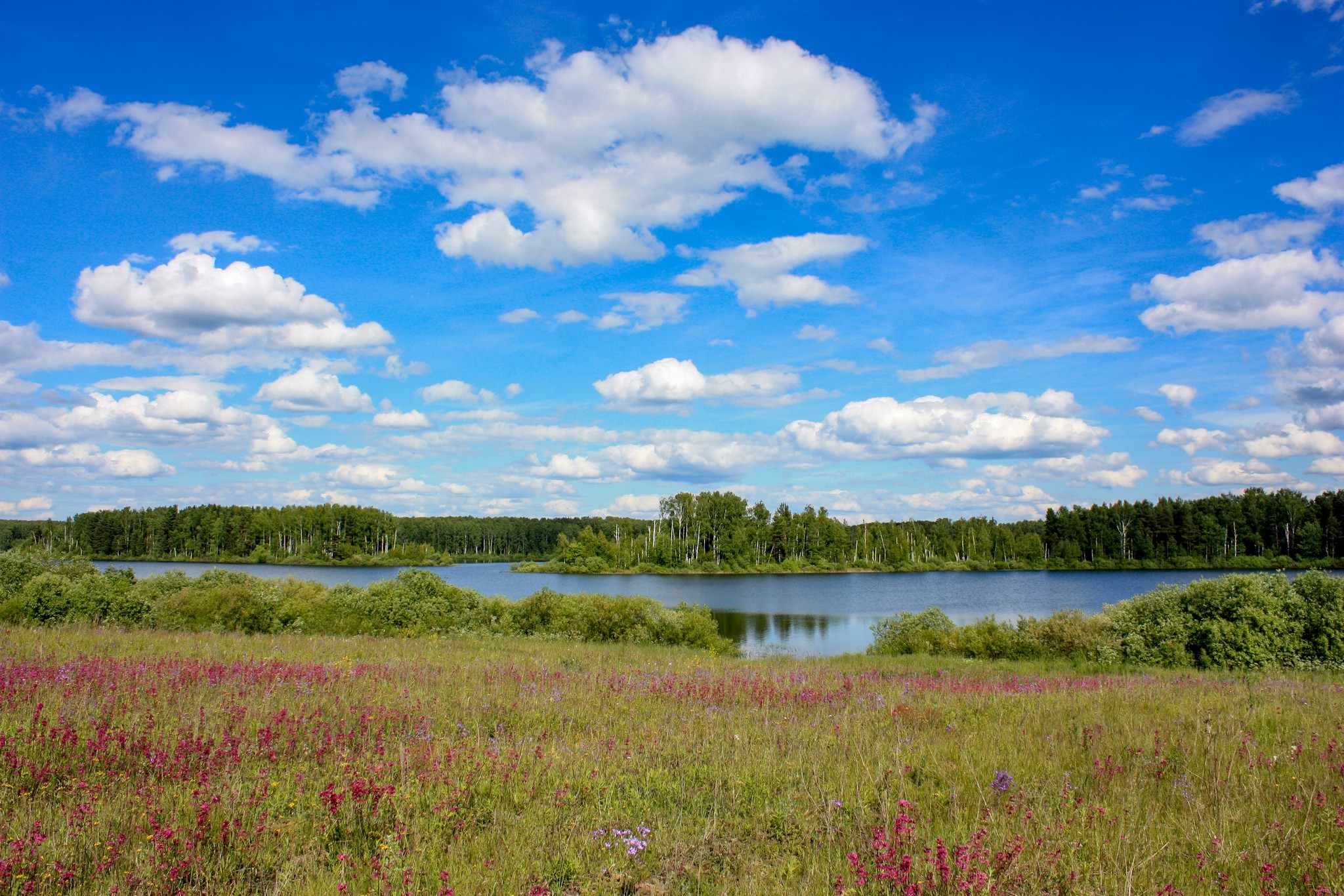 Востринское водохранилище Ивановская область. Уводьское водохранилище. Уводьское вдхр.